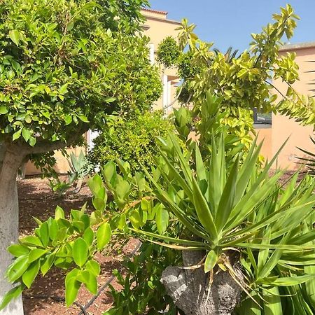 Ocean View Apartment In Orlando أذيخي المظهر الخارجي الصورة