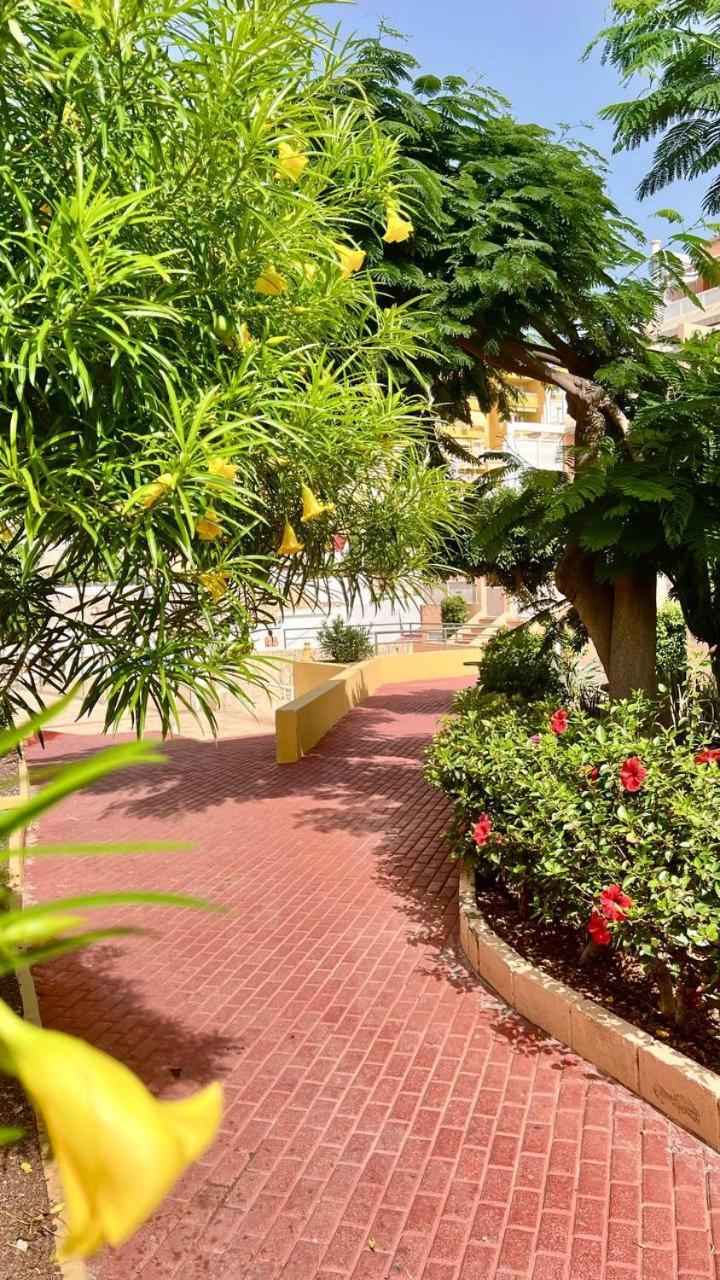 Ocean View Apartment In Orlando أذيخي المظهر الخارجي الصورة